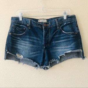 Free People Denim Shorts